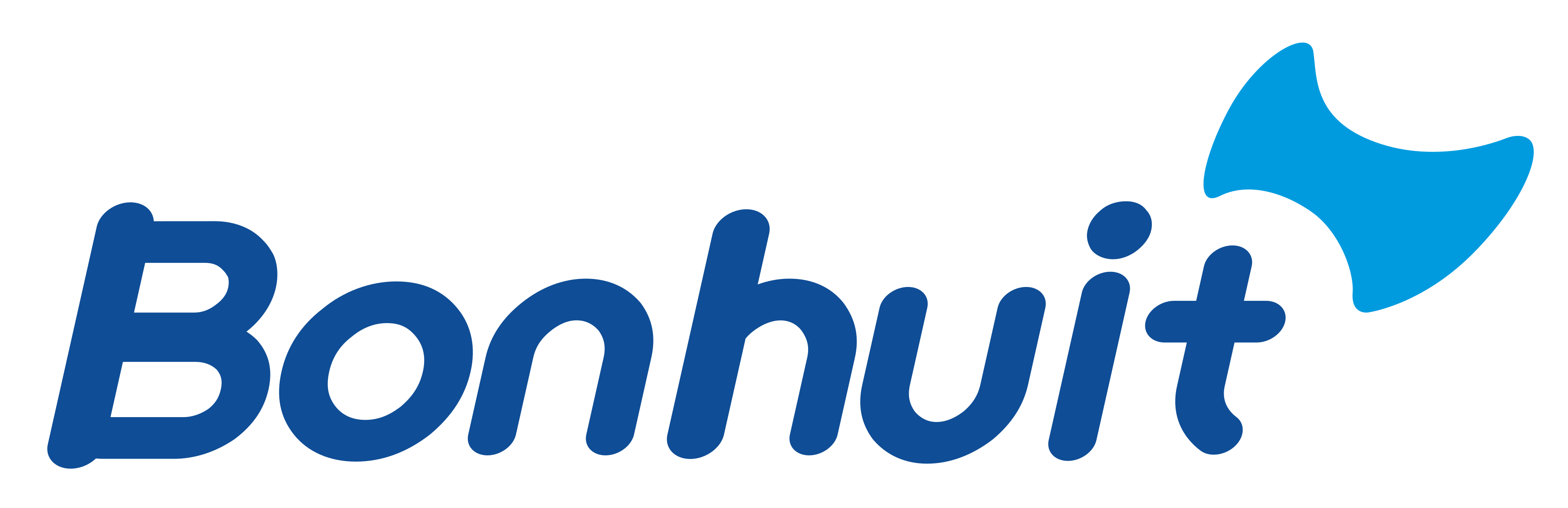 Bonhuit